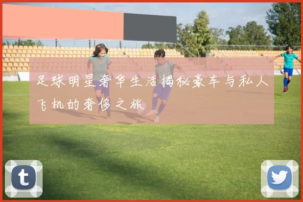 足球明星奢华生活揭秘豪车与私人飞机的奢侈之旅