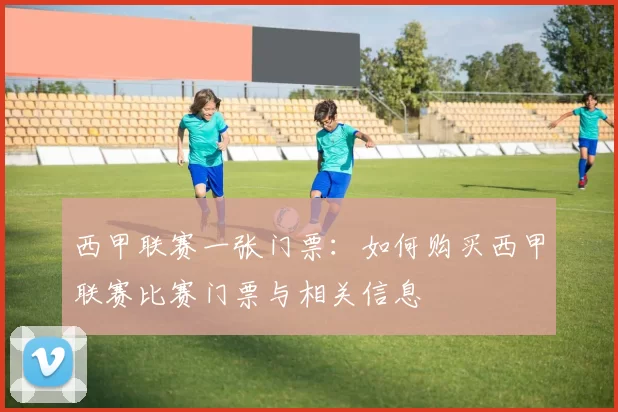 西甲联赛一张门票：如何购买西甲联赛比赛门票与相关信息