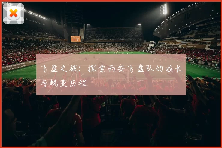 飞盘之旅：探索西安飞盘队的成长与蜕变历程