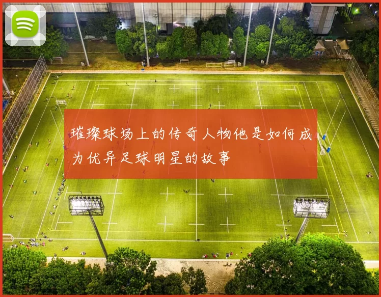 璀璨球场上的传奇人物他是如何成为优异足球明星的故事