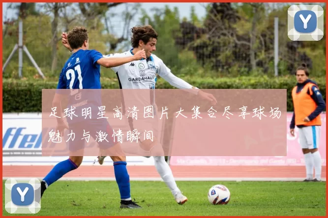足球明星高清图片大集合尽享球场魅力与激情瞬间