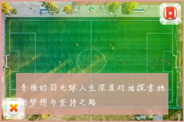 李丽的羽毛球人生深度对话探索她的梦想与坚持之路