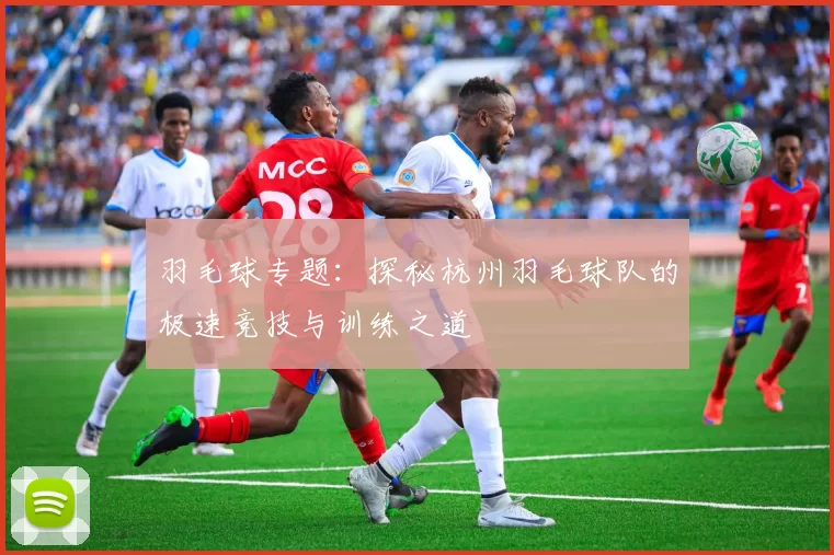 羽毛球专题：探秘杭州羽毛球队的极速竞技与训练之道