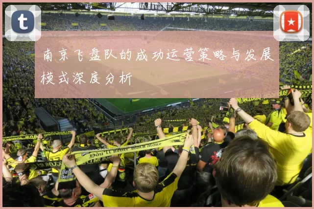 南京飞盘队的成功运营策略与发展模式深度分析