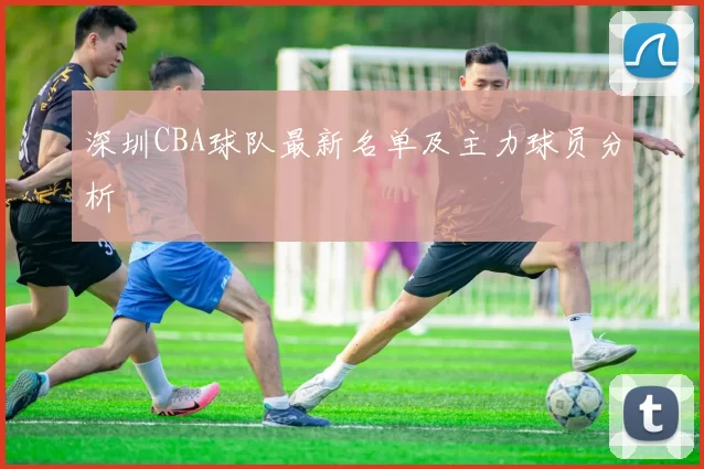深圳CBA球队最新名单及主力球员分析