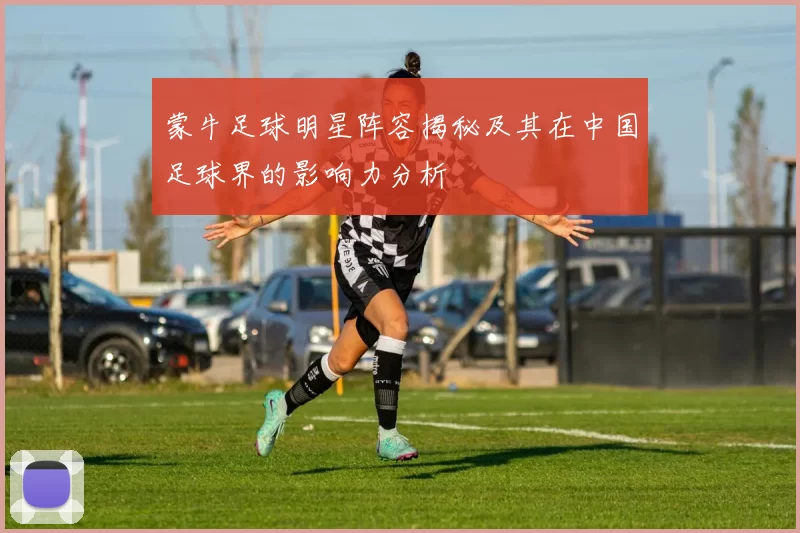 蒙牛足球明星阵容揭秘及其在中国足球界的影响力分析