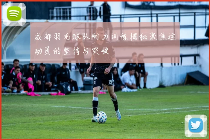 成都羽毛球队耐力训练揭秘聚焦运动员的坚持与突破