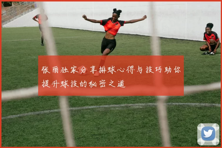 张丽独家分享排球心得与技巧助你提升球技的秘密之道