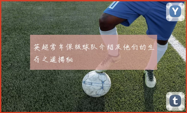 英超常年保级球队介绍及他们的生存之道揭秘