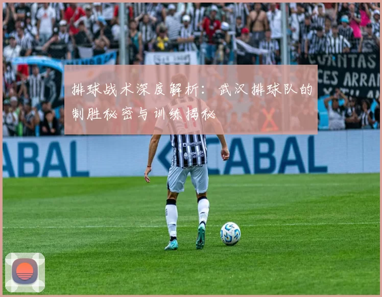 排球战术深度解析：武汉排球队的制胜秘密与训练揭秘
