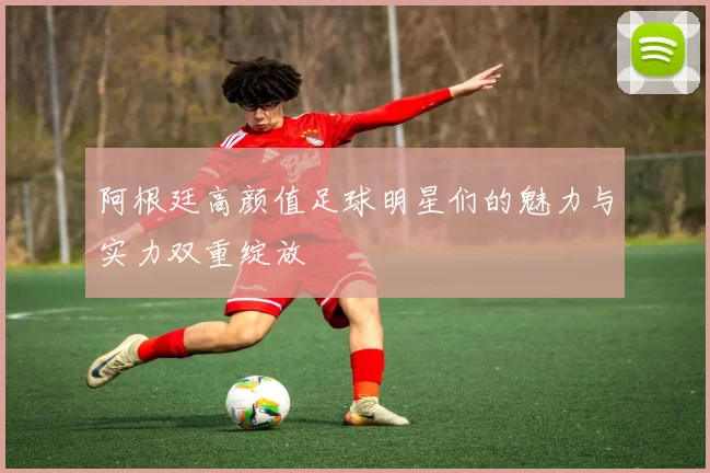 阿根廷高颜值足球明星们的魅力与实力双重绽放