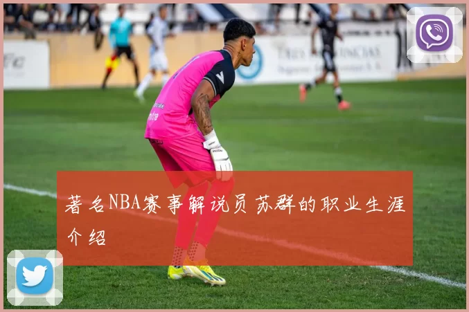 著名NBA赛事解说员苏群的职业生涯介绍