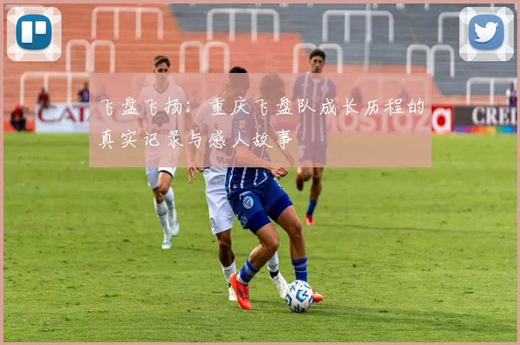 飞盘飞扬：重庆飞盘队成长历程的真实记录与感人故事