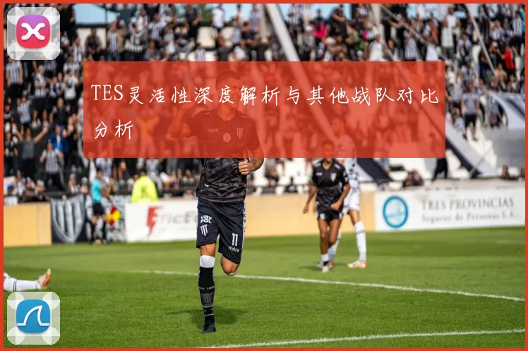 TES灵活性深度解析与其他战队对比分析