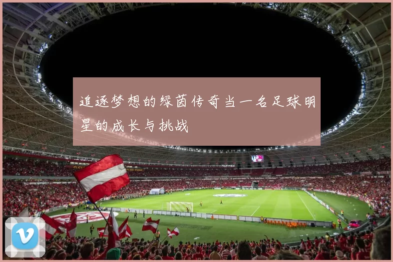 追逐梦想的绿茵传奇当一名足球明星的成长与挑战