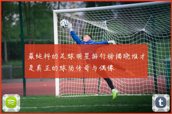 最纯粹的足球明星排行榜揭晓谁才是真正的球场传奇与偶像