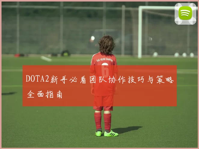 DOTA2新手必看团队协作技巧与策略全面指南