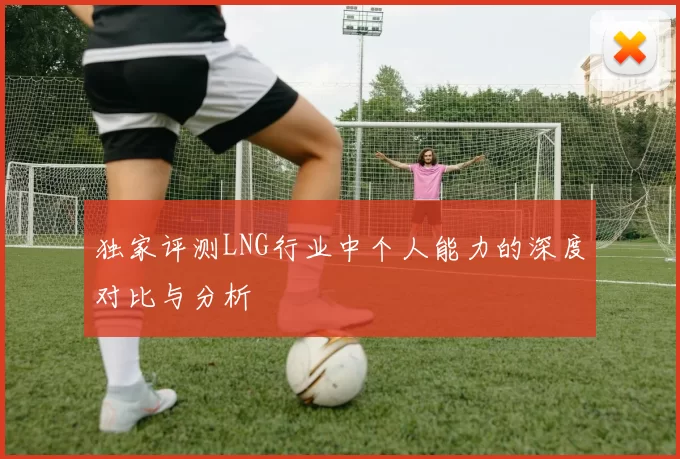 独家评测LNG行业中个人能力的深度对比与分析