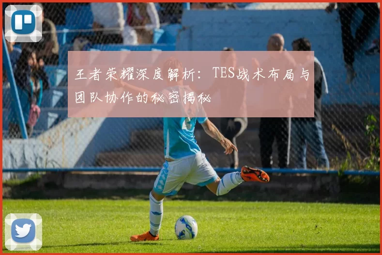 王者荣耀深度解析：TES战术布局与团队协作的秘密揭秘