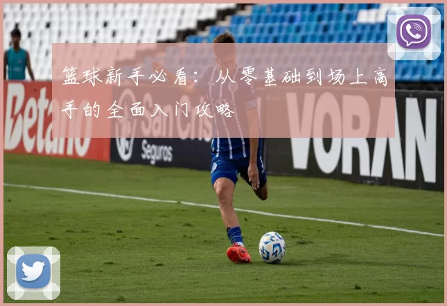 篮球新手必看：从零基础到场上高手的全面入门攻略
