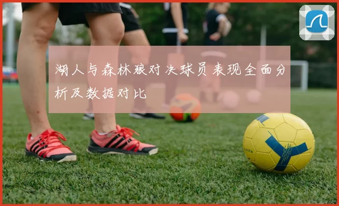 湖人与森林狼对决球员表现全面分析及数据对比