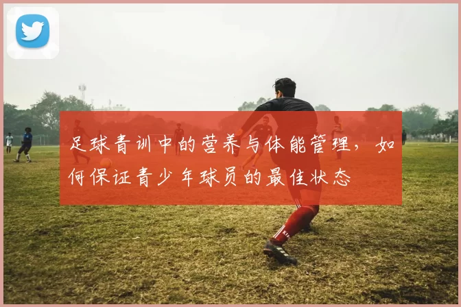 足球青训中的营养与体能管理，如何保证青少年球员的最佳状态
