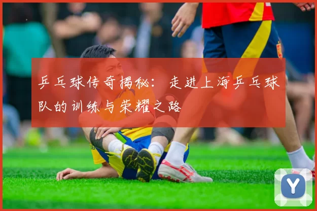 乒乓球传奇揭秘：走进上海乒乓球队的训练与荣耀之路