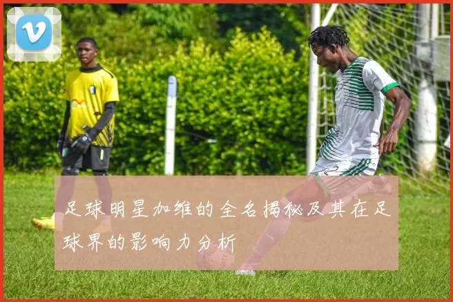 足球明星加维的全名揭秘及其在足球界的影响力分析