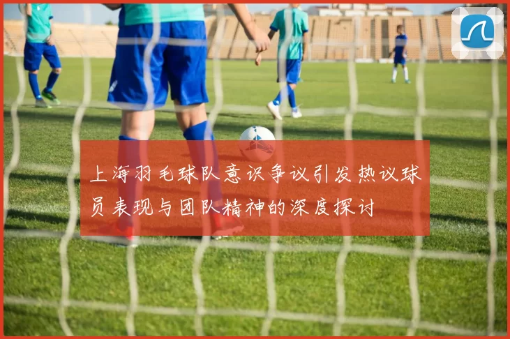 上海羽毛球队意识争议引发热议球员表现与团队精神的深度探讨