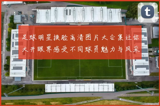 足球明星换脸高清图片大合集让你大开眼界感受不同球员魅力与风采
