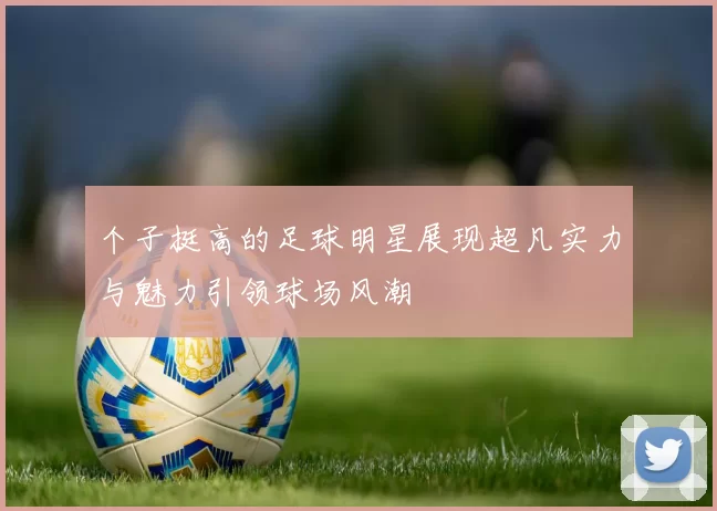 个子挺高的足球明星展现超凡实力与魅力引领球场风潮