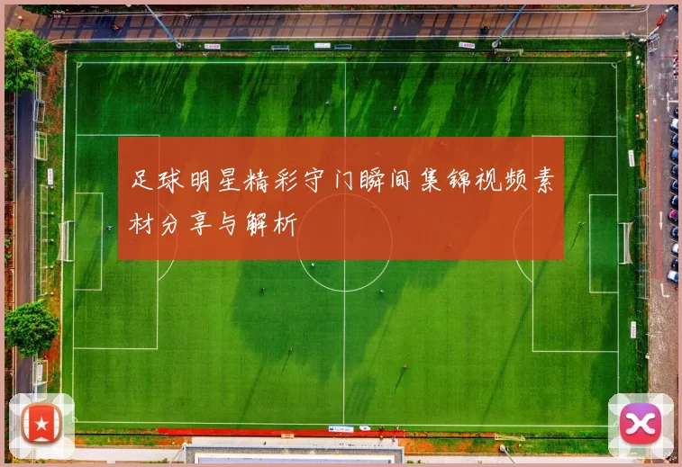 足球明星精彩守门瞬间集锦视频素材分享与解析
