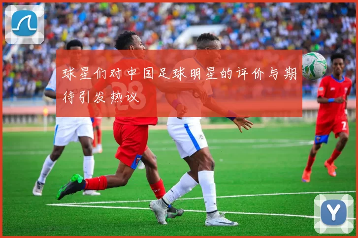 球星们对中国足球明星的评价与期待引发热议