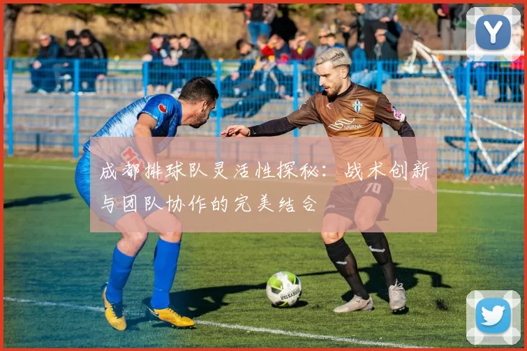 成都排球队灵活性探秘：战术创新与团队协作的完美结合