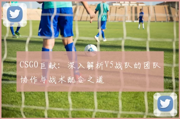 CSGO巨献：深入解析V5战队的团队协作与战术配合之道