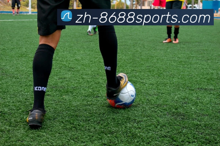 8688体育平台生态图